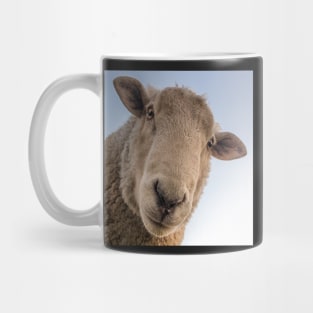 Funny Sheep Lover Design Are You Looking At Me? Funny Sarcasm Farmhouse Decor & Gifts Mug